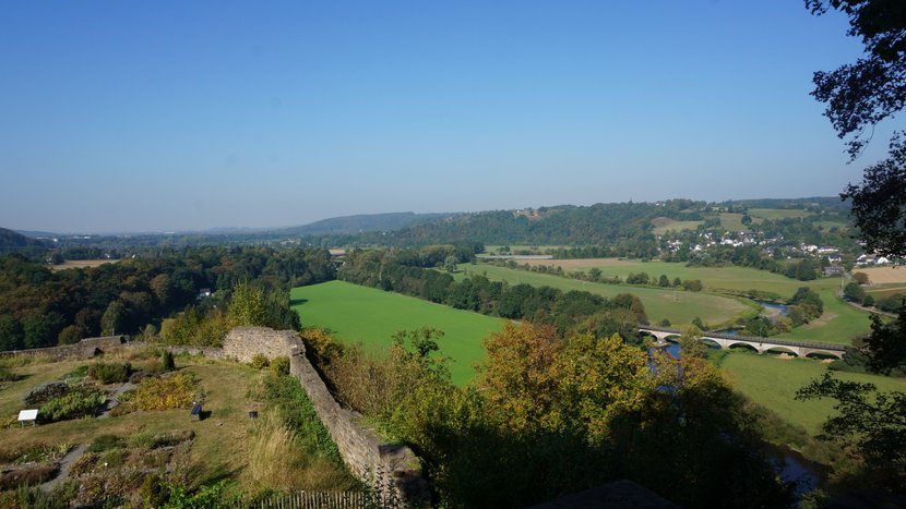 DSC00498