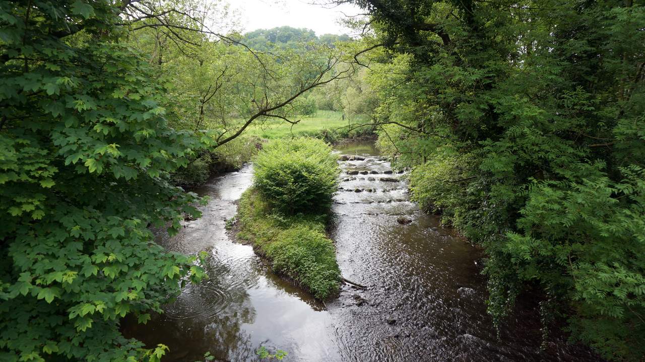 DSC02041