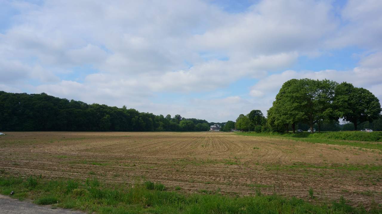 DSC02042