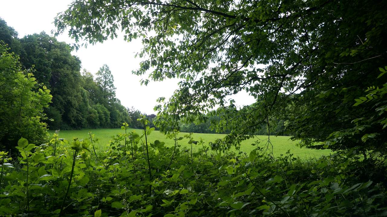 DSC02057