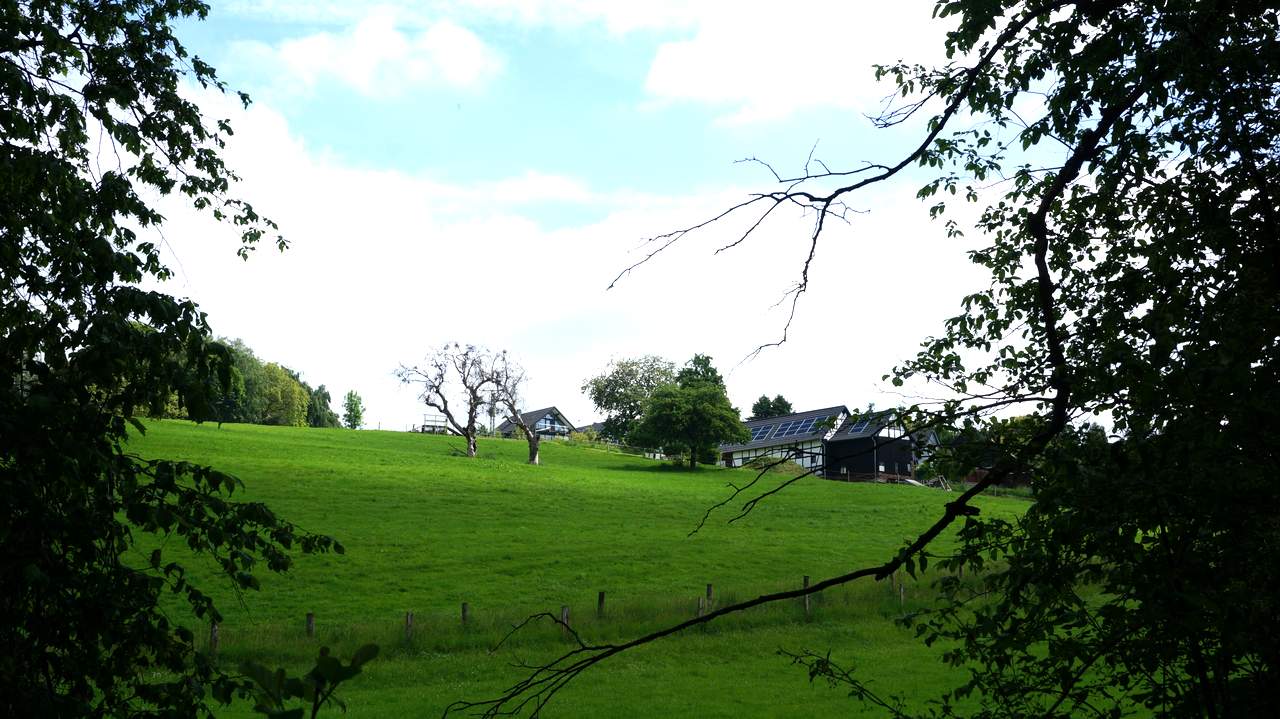 DSC02072
