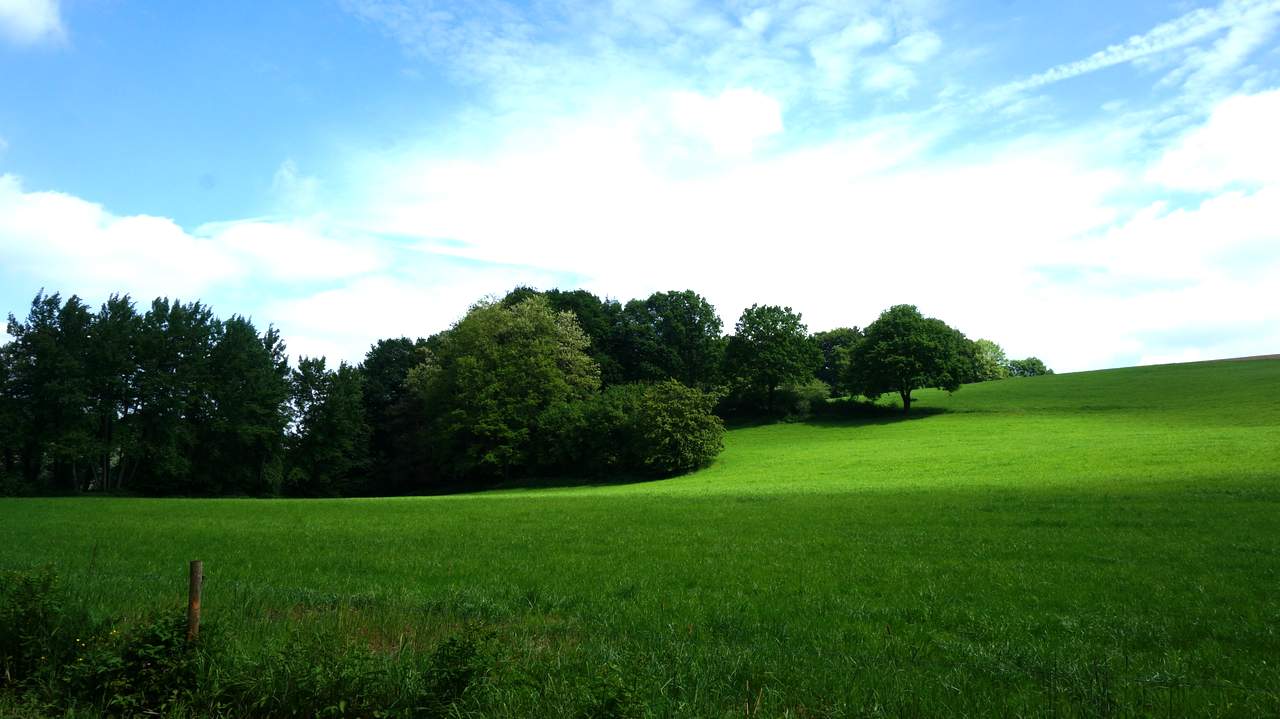 DSC02076