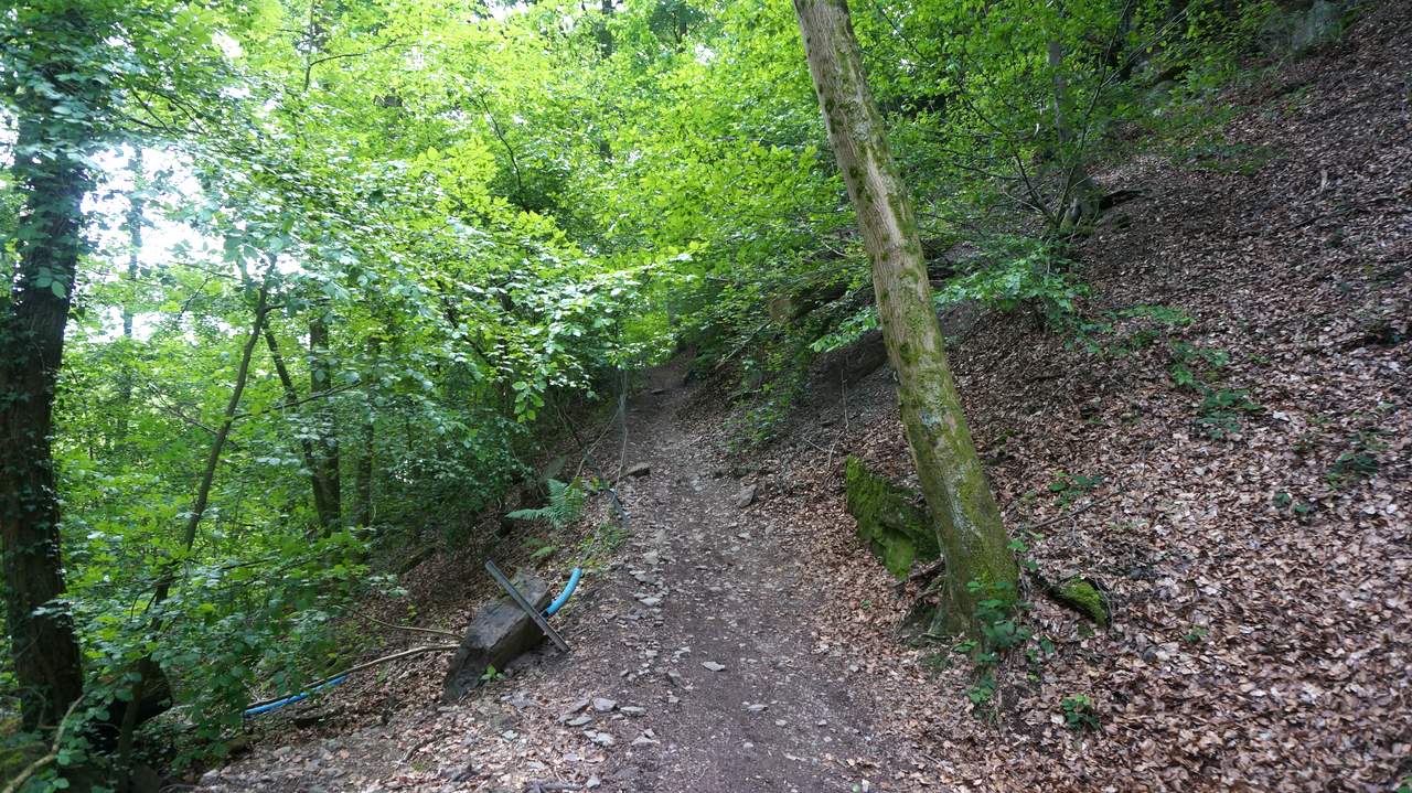 DSC02093