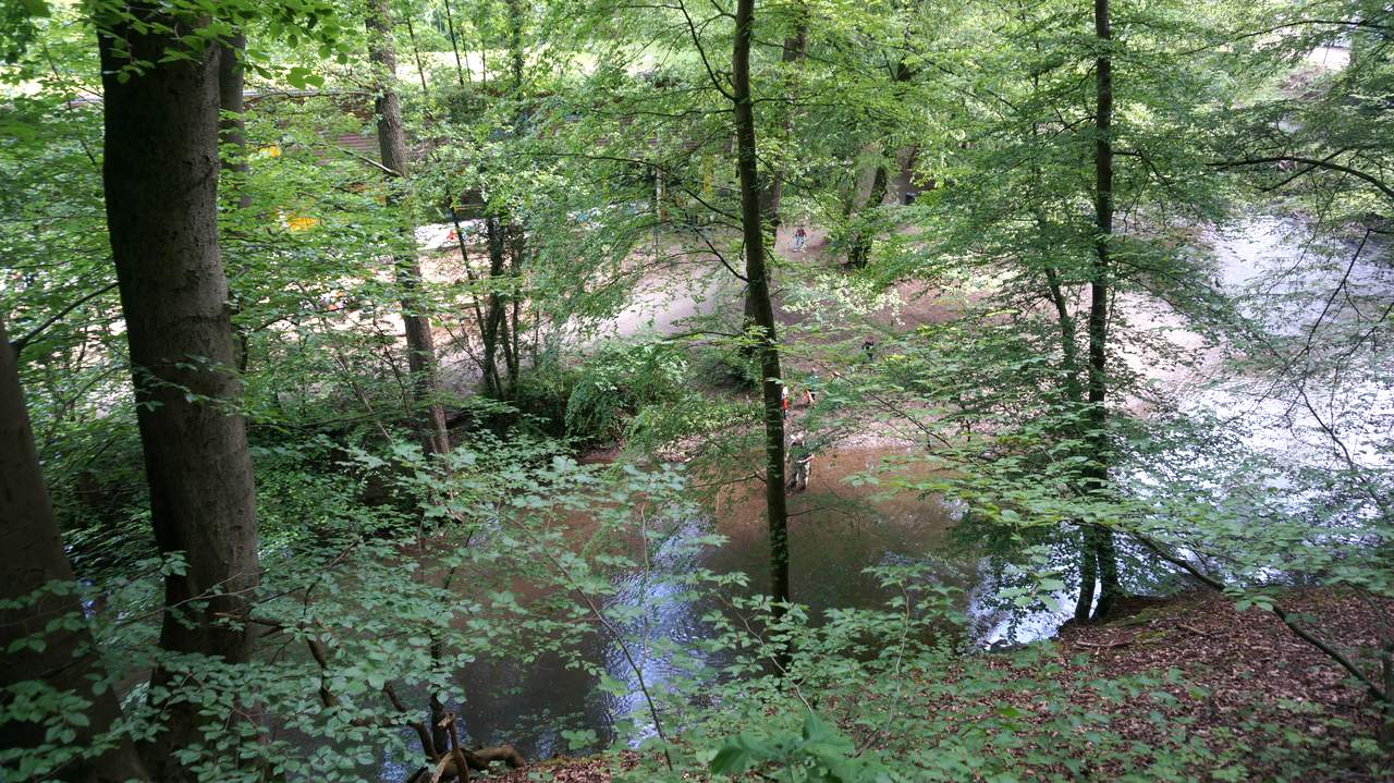 DSC02094