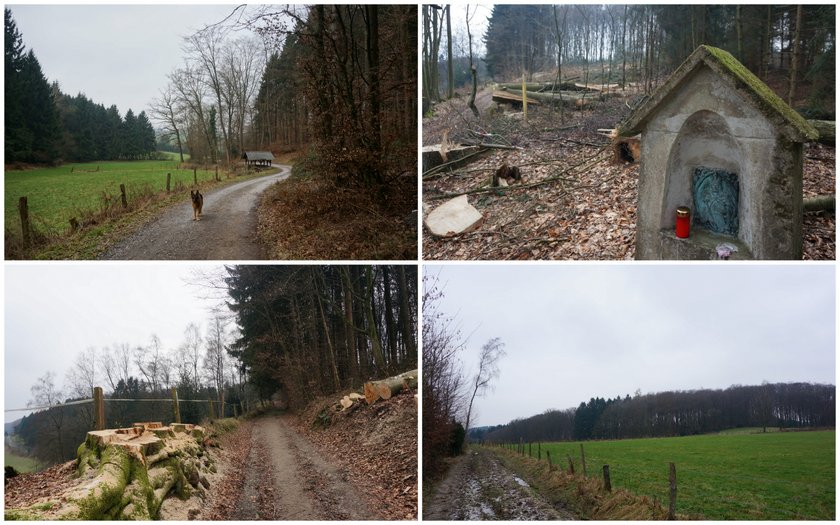 Weyerbach